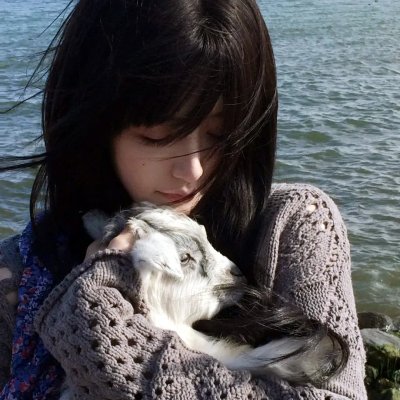 摩登仙履奇缘国语